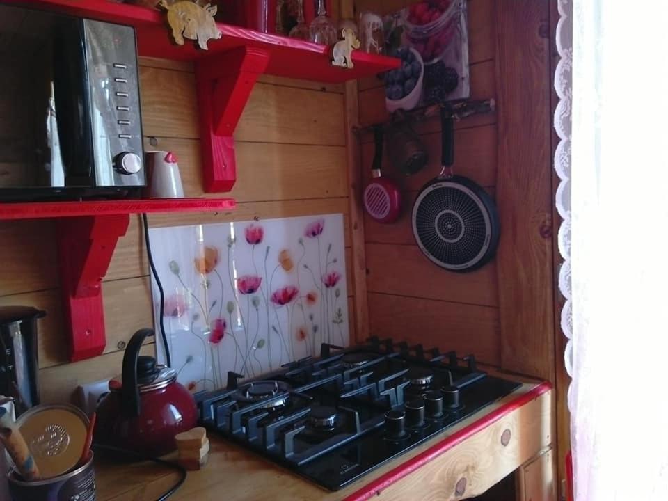 La Mure-Argens Chalet Sur Pilotis Ane'Ita De L'Arbenquens 빌라 외부 사진